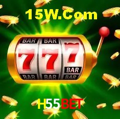 Sistemas de Segurança H55Bet